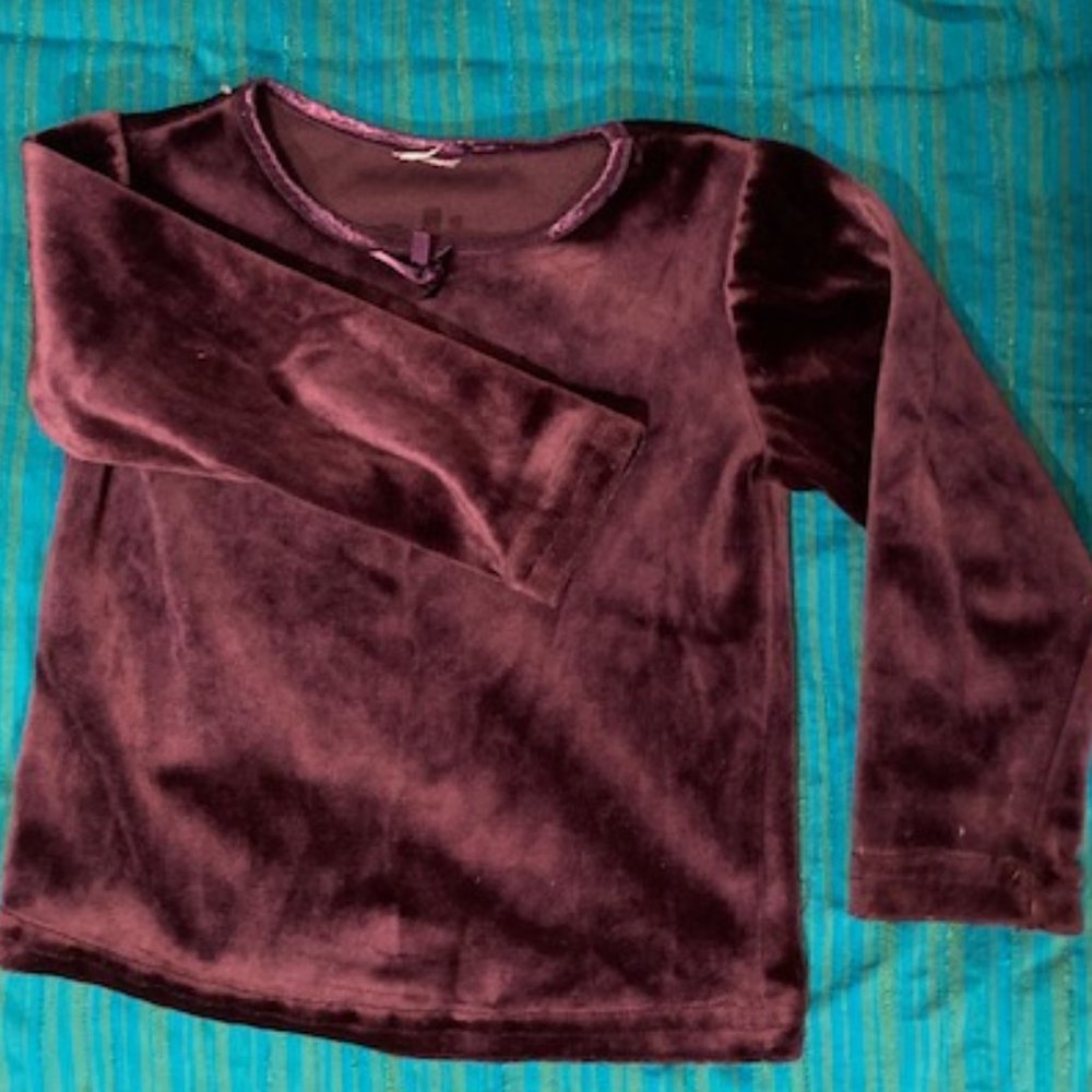 Purple Velour Top